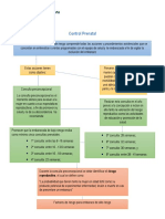 Control Prenatal. Méndez Hernández Carlos Alberto PDF