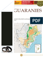 Aborigenes Guaranies