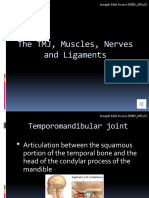 The TMJ, Muscles, Nerves, and Ligaments With Voice Over - PPSX