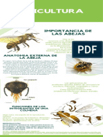 Importancia de las abejas en la agricultura y anatomía externa