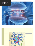 Impulso Nervioso y Sinapsis Explicados | PDF | Potencial de acción ...