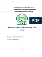 Informe 2 Conservacion de Tripas