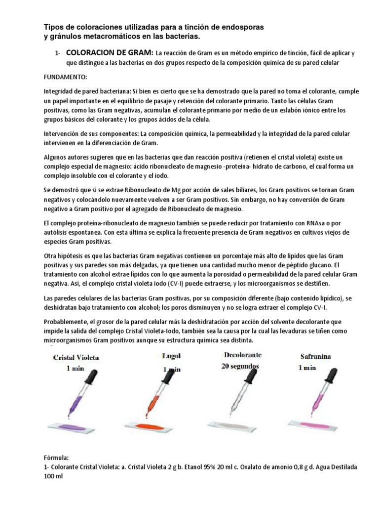 Tipos de Coloraciones | PDF | Tinción | Las bacterias
