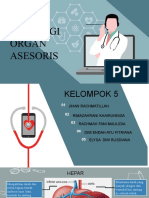 FISIOLOGI SISTEM ASESORIS