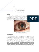 Laserasi Kornea - Siti Ria Rumaisa PDF