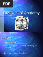 Divisions of Anatomy