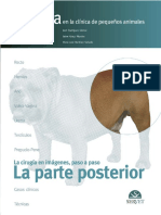 cirugia en la clinica de pequeños animales la parte posterior.pdf