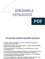 cefaleea-merged.pdf