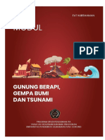 GUNUNG BERAPI, GEMPA DAN TSUNAMI