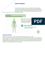 Chapter 1 - The Language of Anatomy: Anatomical Position