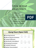 Bagian Daun