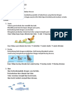 Rangkuman Pertumbuhan Hewan.pdf