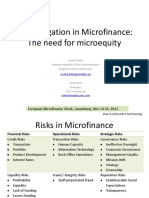 04 AA - Risk in Microfinance PDF