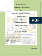 Fsesf Avocado Production Export Business Plan 29.10.2019 PDF