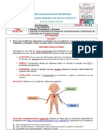 Sistema Cir. y Excretor PDF