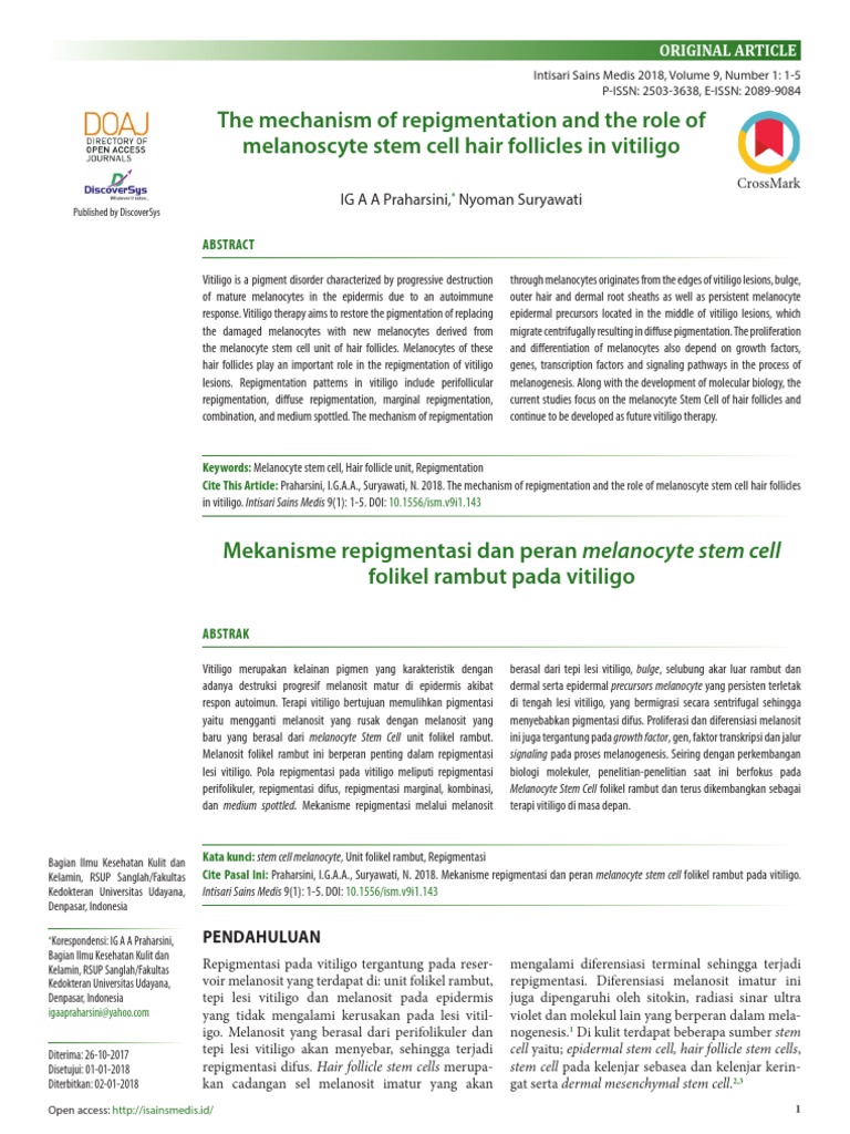 The Mechanism of Repigmentation and The Role of Melanoscyte Stem Cell ...