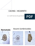 Helminth - Picture