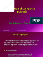 LP An V Dr. Oana Amza - Necroza Si Gangrena Pulpara PDF
