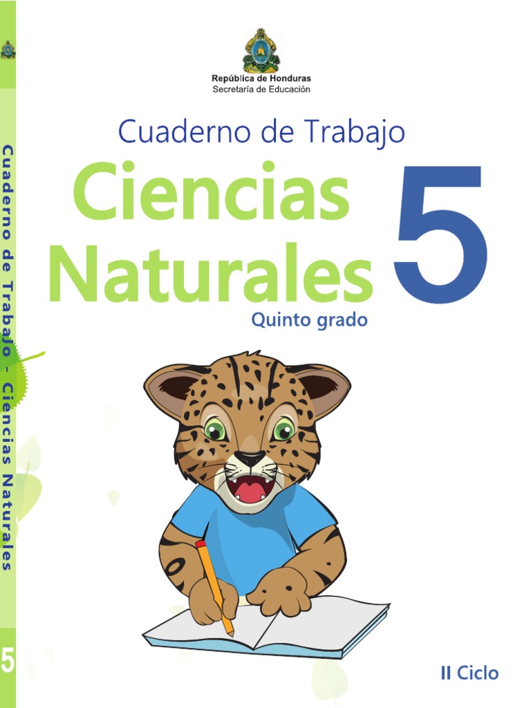 Cuaderno De Trabajo V5p7pu4 Pdf Semen Sistema Endocrino