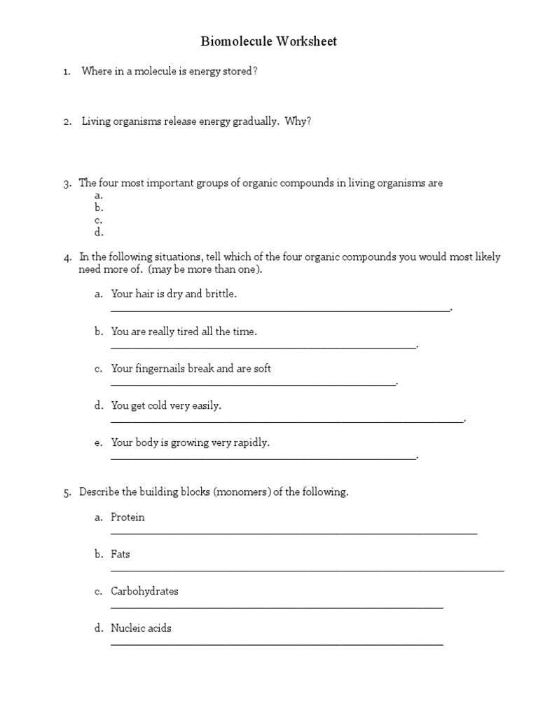 Biomolecule Worksheet Practice PDF Biomolecules Enzyme