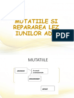 Cursul 5 - Mutatiile Si Repararea Leziunilor ADN