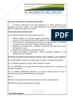 Trastornos Organicos Del Adulto PDF