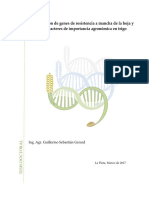 Gerard Guillermo Tesis - pdf-PDFA-U PDF