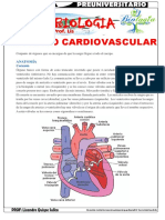 Cardio Mañana PDF