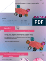 Microbiologia de Carnes Crudas y Procesadas PDF