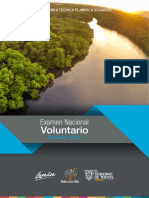 Examen Nacional Voluntario 2020 PDF