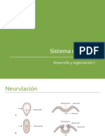 SN Central PDF