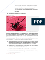 Casi Todas Las Arañas Son Venenosas PDF