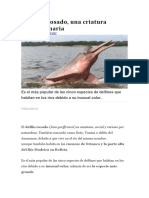 El Delfín Rosado PDF