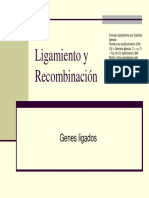 ligamiento  y  recombinacion GENETICO