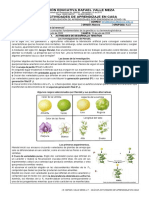 Guía 7 RVM (III Periodo) Biología