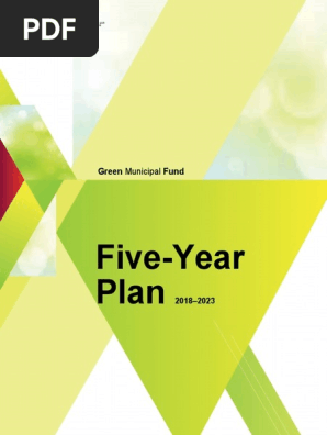 5 year plan template 20.doc