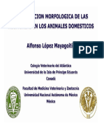 3 Clasificacion Neumonias PDF