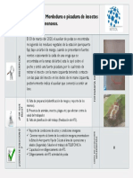 Plantilla Leccion Aprendida