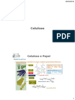 Celulose e Papel.pdf