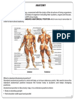 Chapter 2 Anatomy