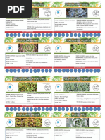 Fichas Paisajisticas-1