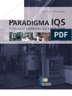 Paradigma IQS