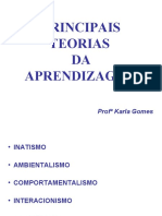 Slides Principais Teorias 2