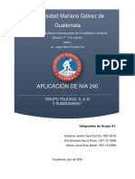 Aplicación NIA 240 Grupo A1