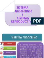 endocrino Y reproductor