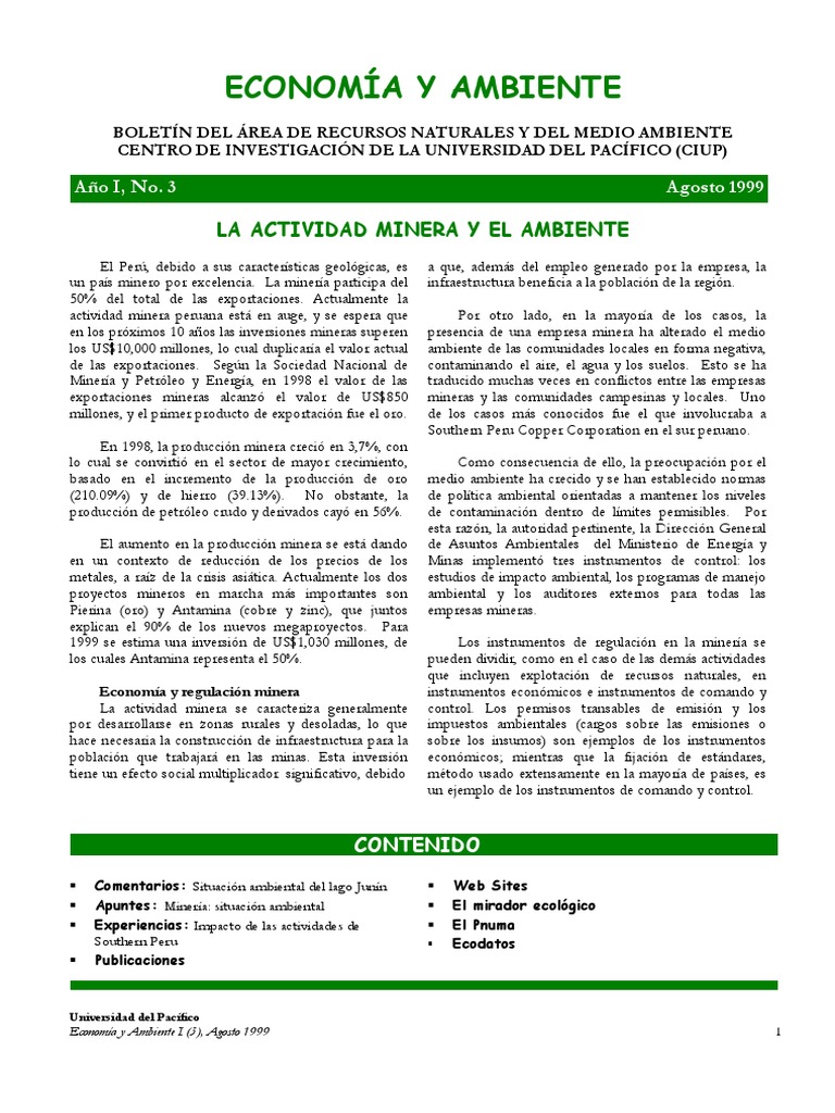 Actividad Minera y Ambiental | PDF | Minería | Contaminación