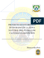 Proyecto Economia Ambiental PDF