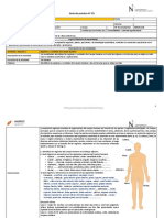 Anatomía Semana 1 PDF