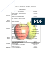 Dieta controlada en carbohidratos e hidratos de carbono