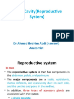 Pelvic Cavity (Reproductive System) : Dr:Ahmed Ibrahim Abdi (Nawawi) Anatomist